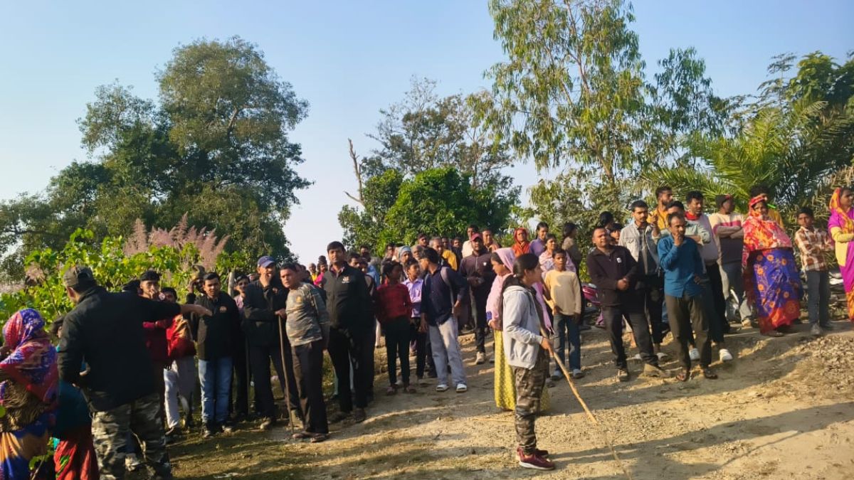 tiger spotted in pilibhit fields villagers in panic