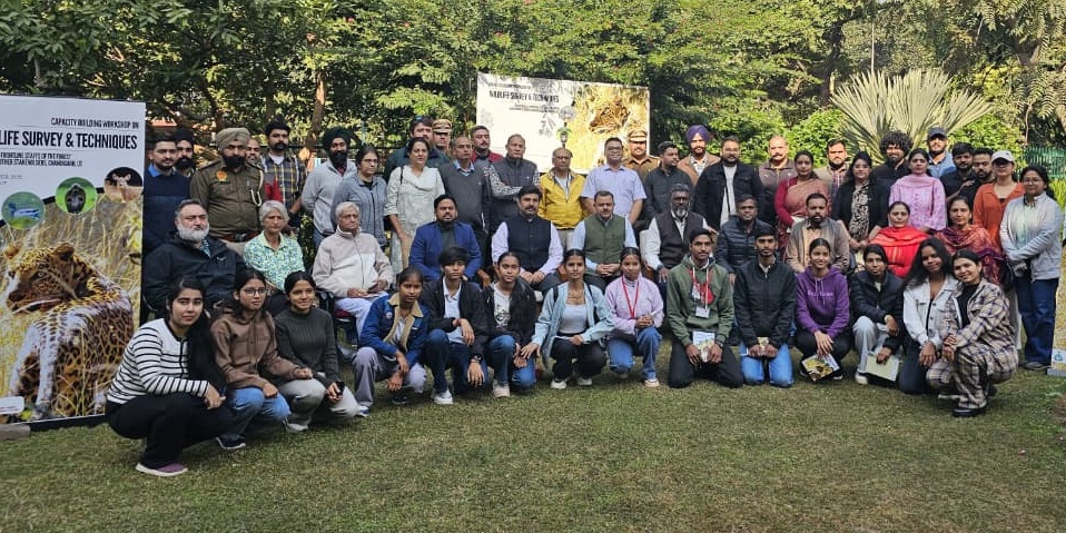 chandigarh wildlife census species count by november 28