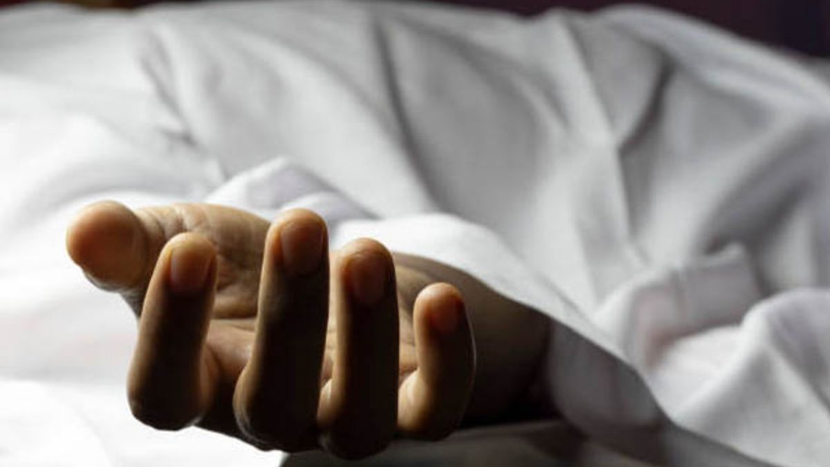 heart attack while driving truck driver dies in karnal accident