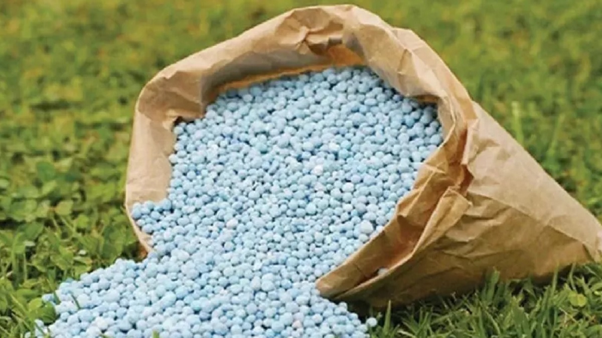 fake fertilizer and seeds are being sold in benipur farmers are not getting genuine fertilizers