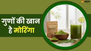 तेजी से वजन घटाने के लिए सहजन की पत्तियां (Picture Credit- AI Generated)