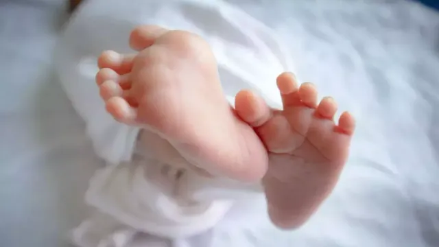 पालने से बच्चा गायब, घर के पास पुआल में मिला शव; 13 दिन के बच्चे की निर्मम हत्या से किशनगंज में दहशत 

