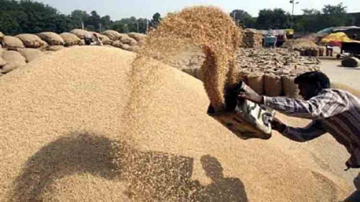 paddy procurement 18 centers open december 1st in dhanbad