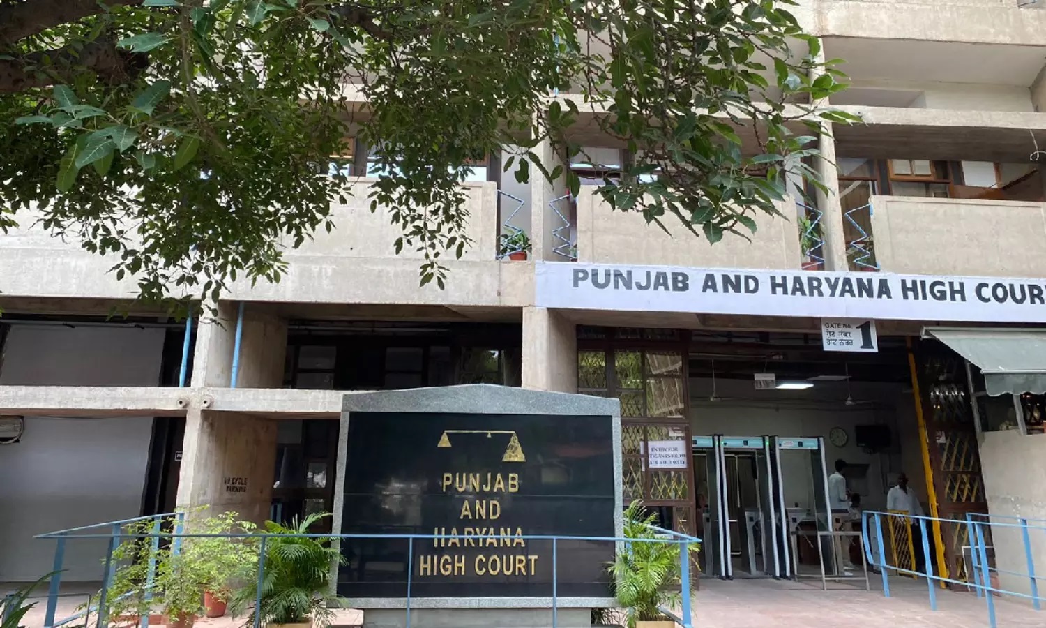 punjab haryana high court warns parents over twin daughters education