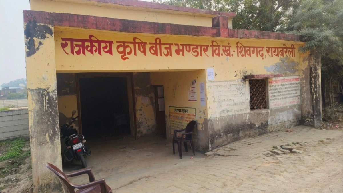 raebareli farmers face seed shortage concerns rise