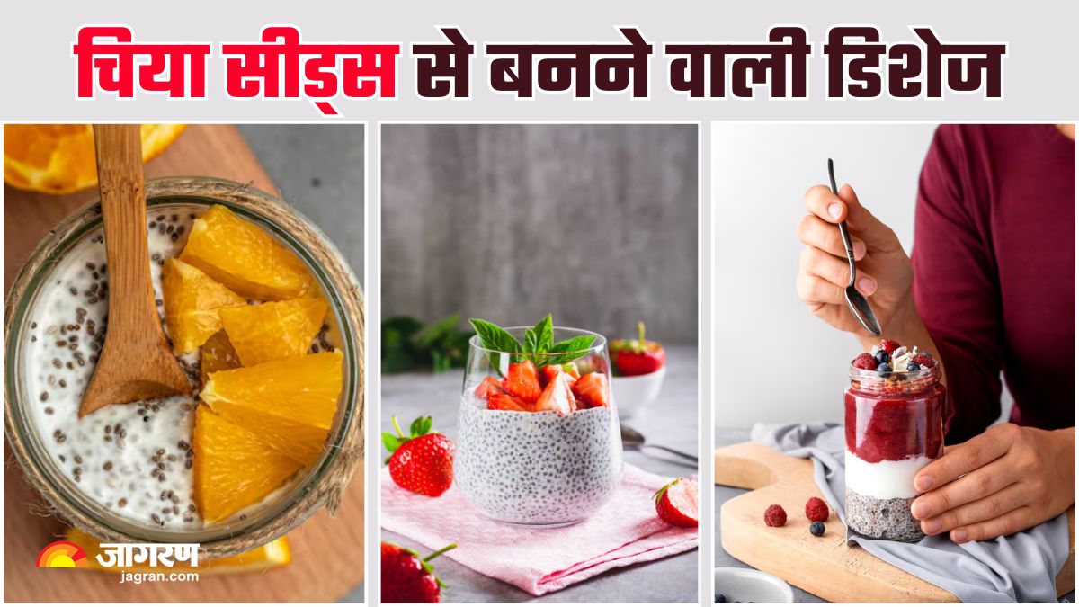 6 easy chia seeds breakfast recipes for all day energy check details