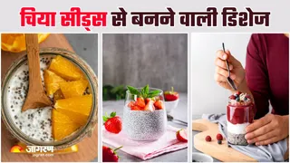 ब्रेकफास्ट में इन 6 तरीकों से शामिल करें चिया सीड्स (Image Source: Freepik)