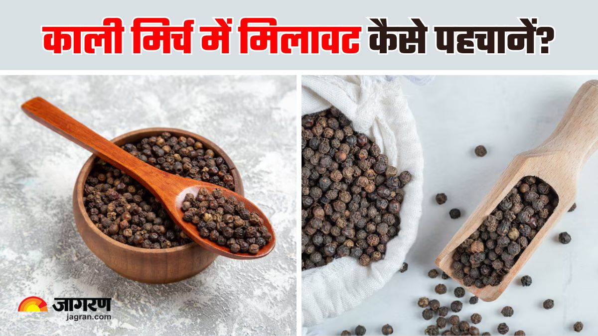 are you eating fake black pepper 5 easy ways to test its purity at home