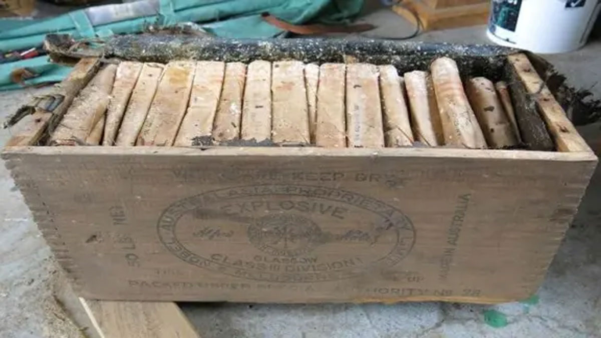 dangerous explosive gelignite found near school