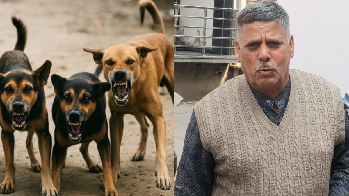 stray dog attack milk vendor injured in bareillys gulmohar park