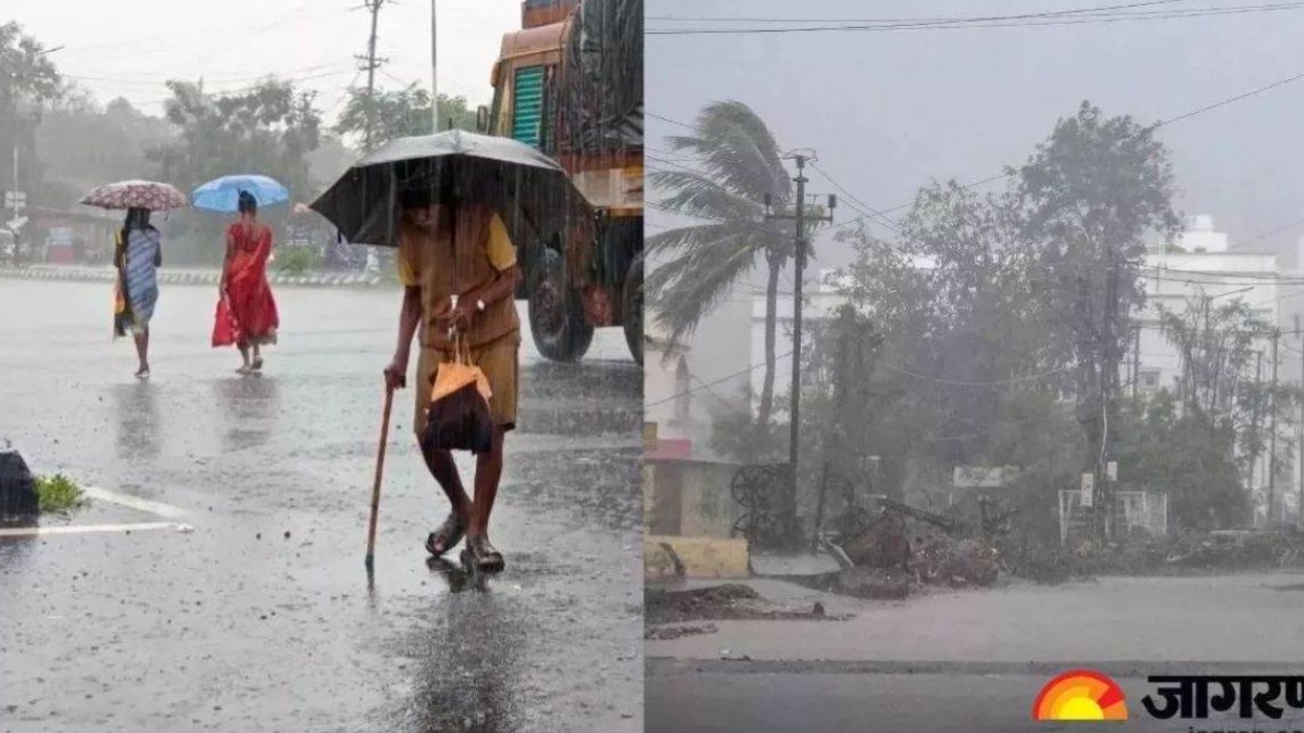 delhi extreme weather 2025 11 days of events 15 deaths