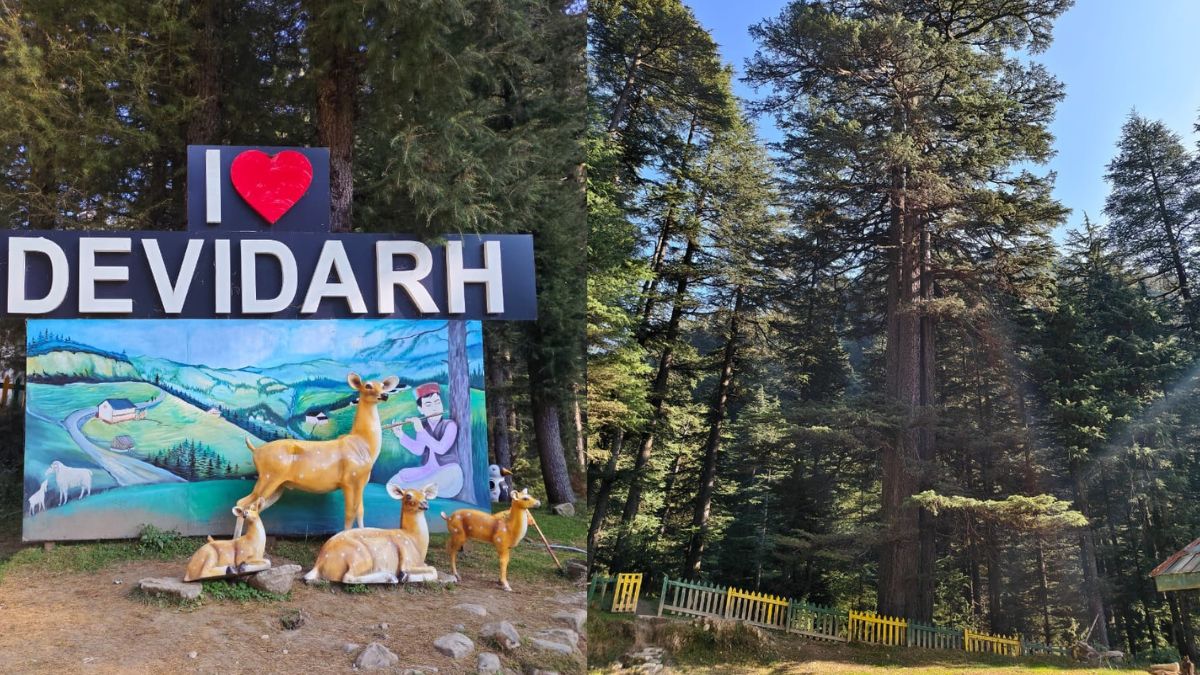 devidarh of mandi unique confluence of faith and tourism is centre of attraction situated amidst dense cedar forests