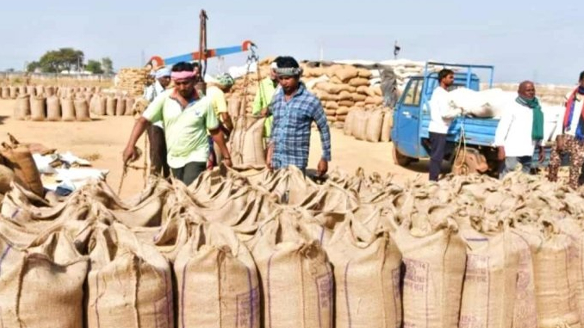 begins in gaya farmers rejoice over fair prices