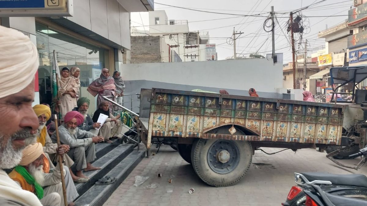 farmers protest with dead buffalo over loan insurance dispute