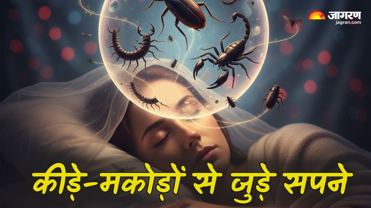 dream astrology what does it mean to see insects in your dream