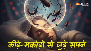 क्या होता है सपने में कीड़े-मकोड़े देखने का अर्थ? (AI Generated Image)