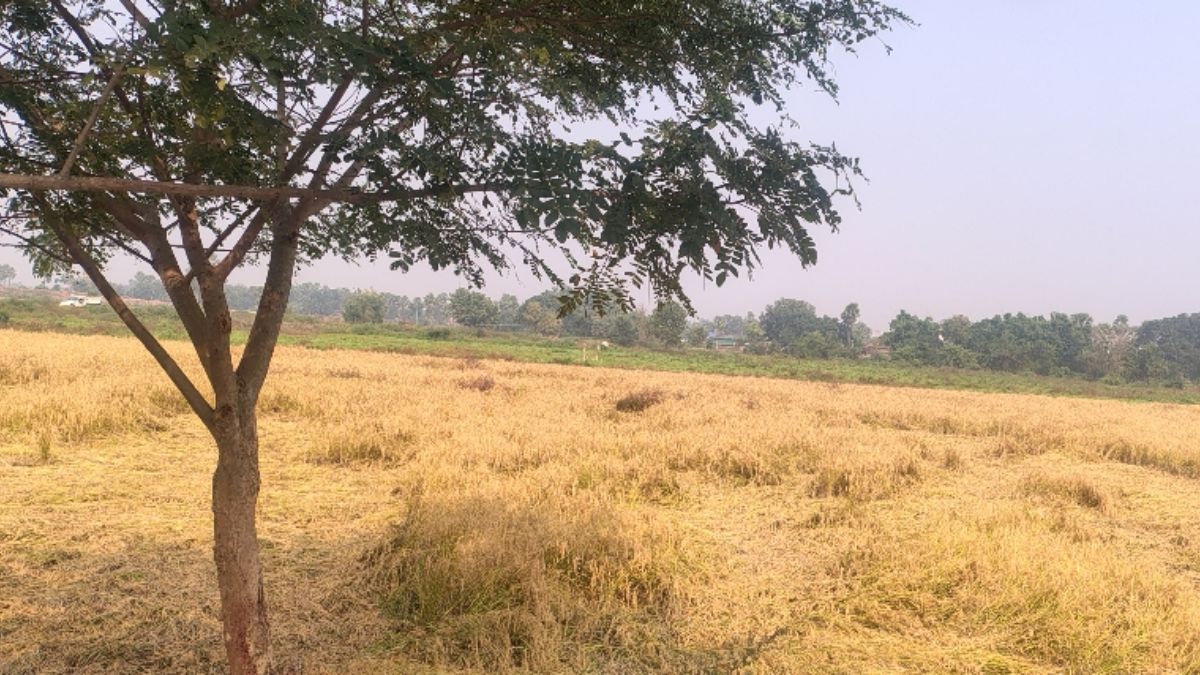 government degree college to open in rajauli new era of education