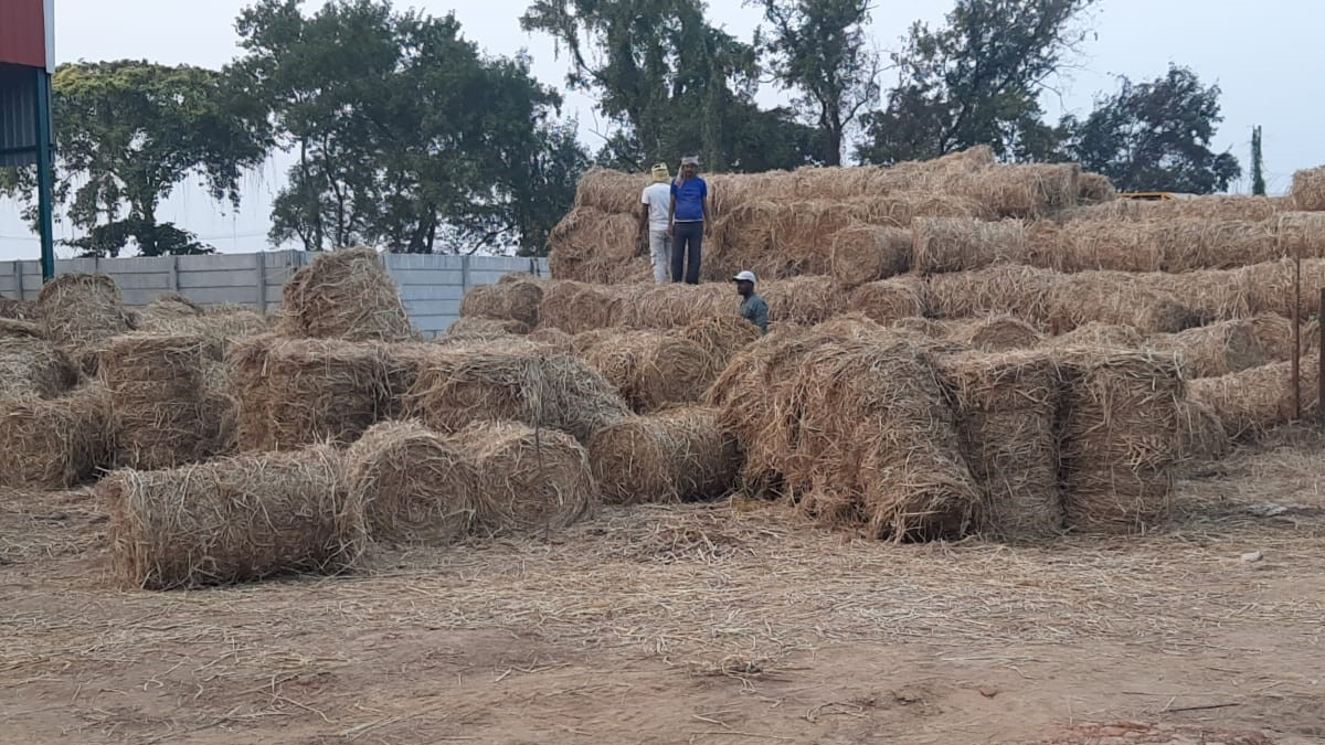 rohtas investment ready government unveils industrial development roadmap