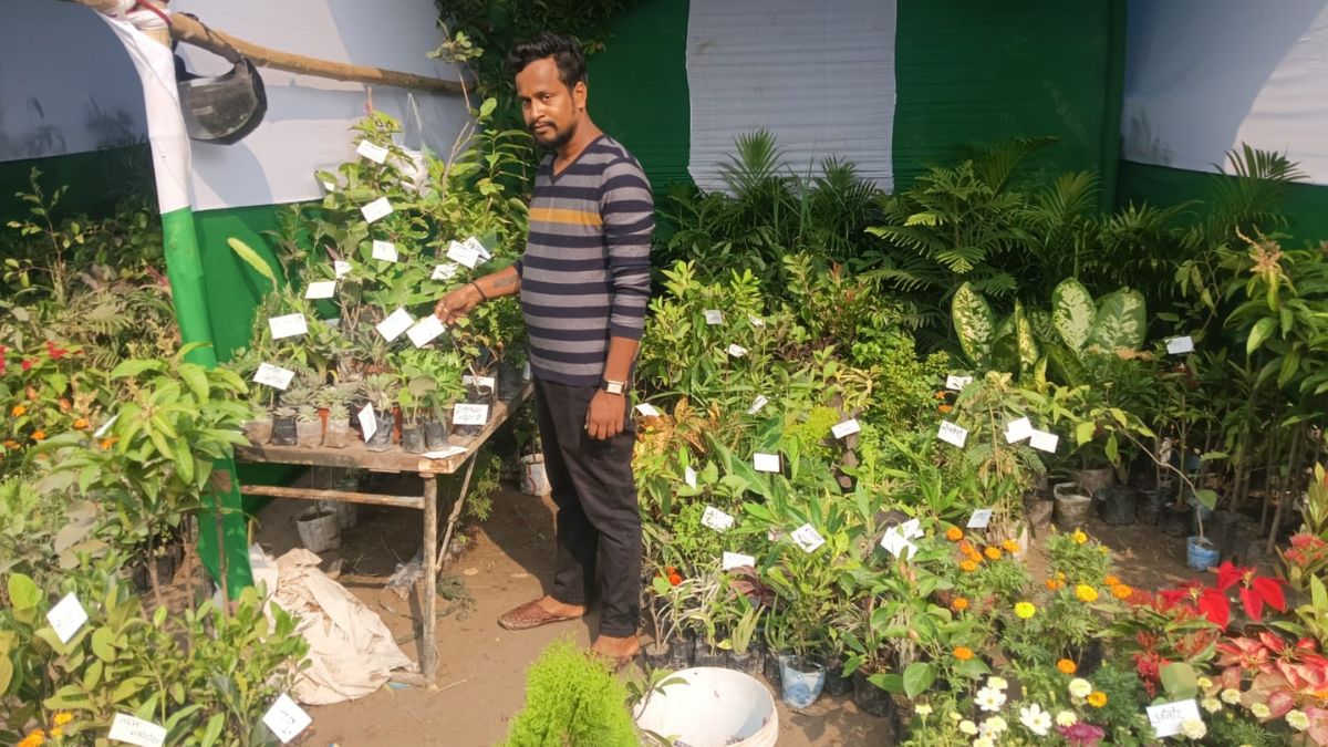 sonepur mela buy rudraksha chandan and lailamajnu plants