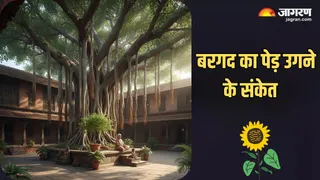 Banyan Tree: बरगद के पेड़ उगने से कौन-से संकेत मिलते हैं (Image Source: AI-Generated)