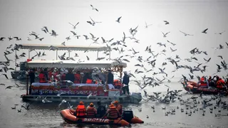 Magh Mela 2026 संगम बोट से जाते उत्तर प्रदेश के मुख्यमंत्री योगी आदित्यनाथ के काफिलें को साइबेरियन पक्षियों ने इस तरह स्वागत किया। जागरण