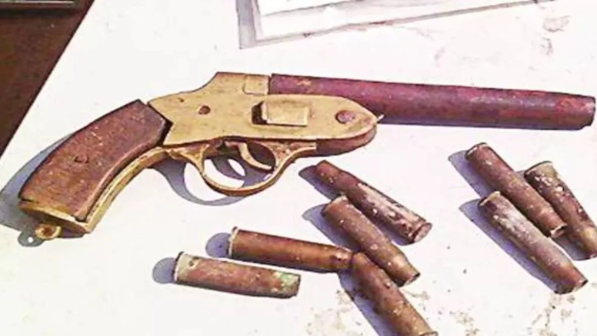 solan desi katta recovered after aerial firing accused arrested