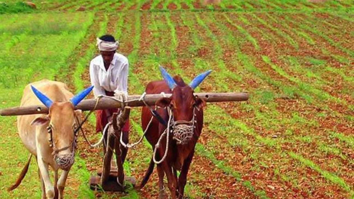 bihar farmers and startups global market opportunity for litchi makhana mushroom
