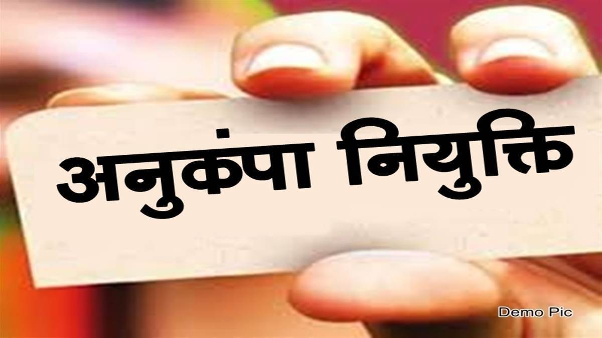 saran compassionate appointment last chance counseling nov 2425