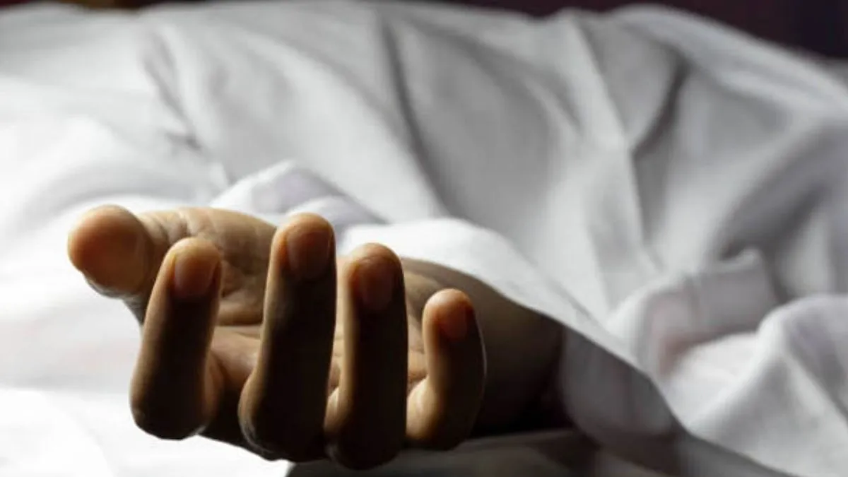 हिसार: बुजुर्ग की सड़क हादसे में मौत, वाहन चालक फरार
