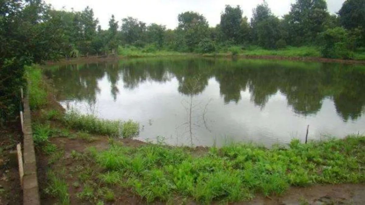 230 old ponds to be revived in rural areas