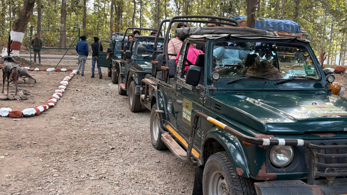 jungle safari begins in mohan range
