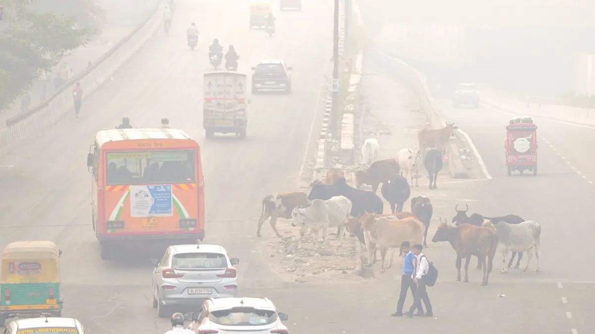 kanpur air pollution city chokes as air quality worsens in november
