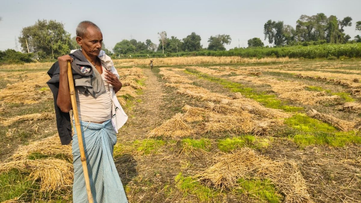 manrega scam uncovered in onama and ambari panchayat sheikhpura