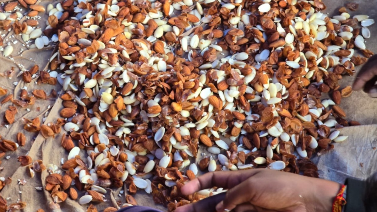 ram mandir flag hoisting almond and pistachio prasad for guests