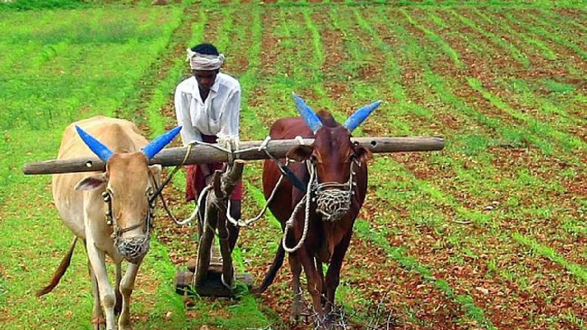 action will be taken against those forcing farmers to buy fertilizers shopkeepers licenses will be suspended