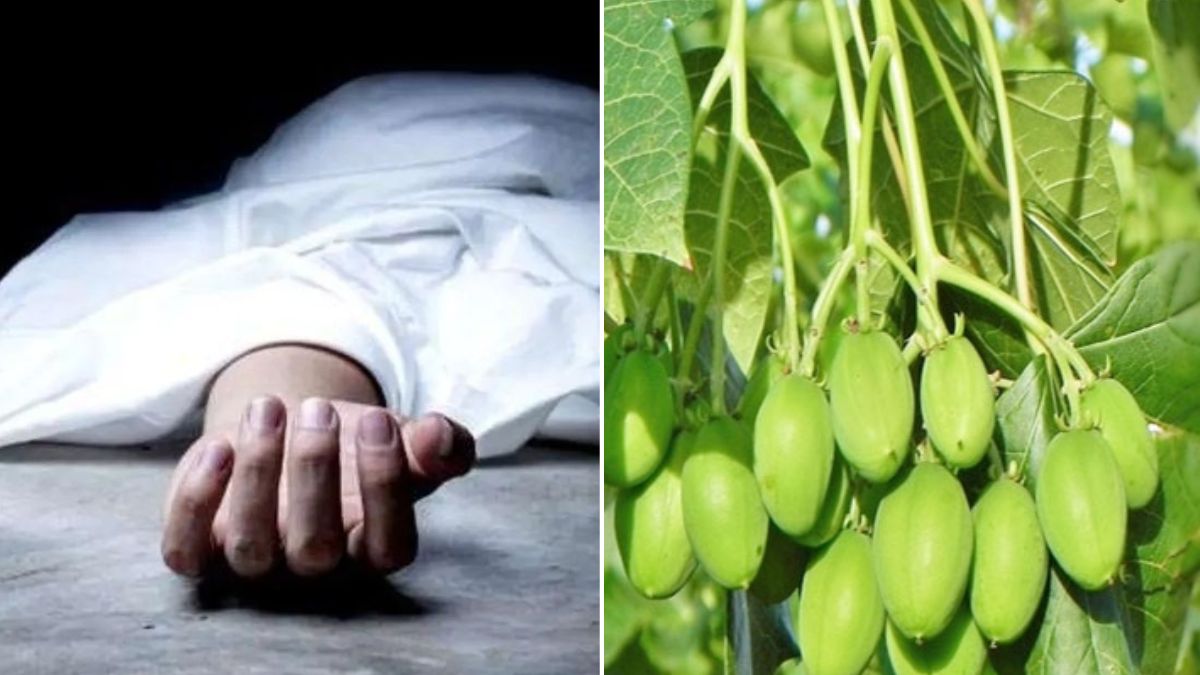 girl dies after eating poisonous fruit in sambhal two critical
