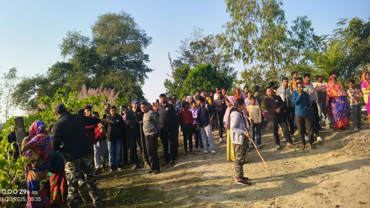 tiger spotted in mahofa fields in pilibhit villagers panicked