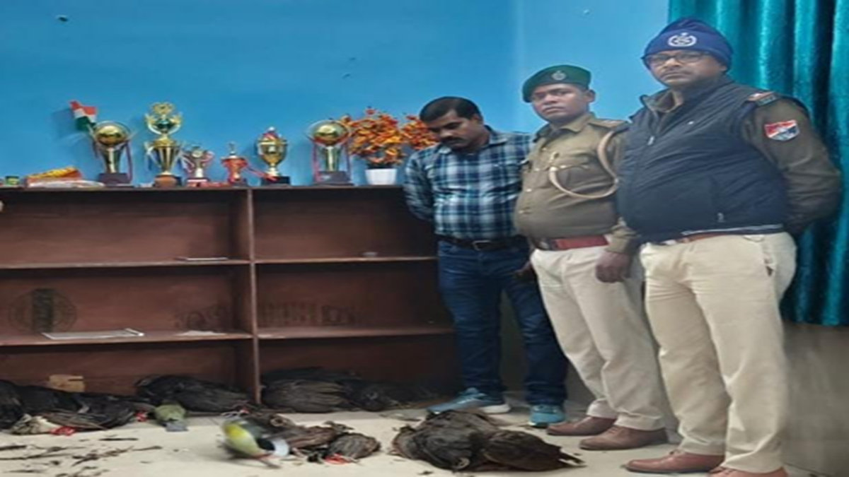 smuggler arrested with 40 rare birds netaji express haul