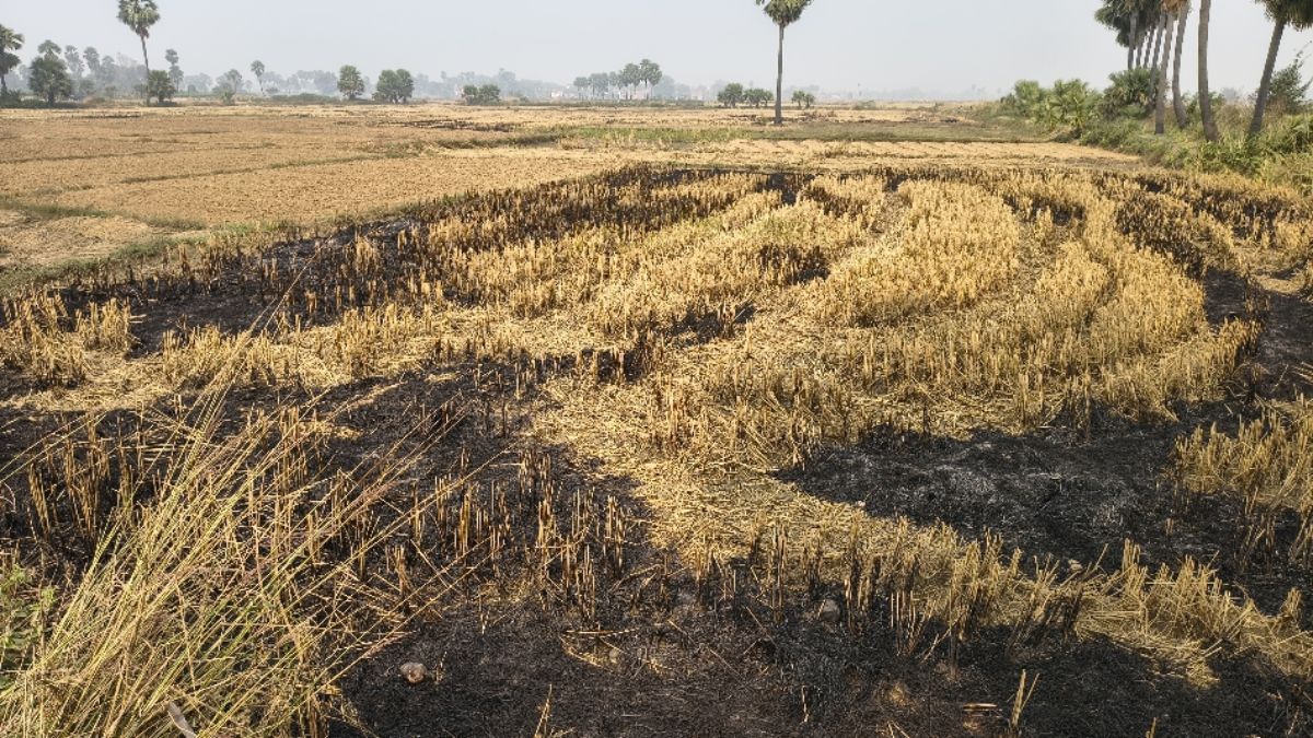 sheikhpura air quality pollution rises due to stubble burning