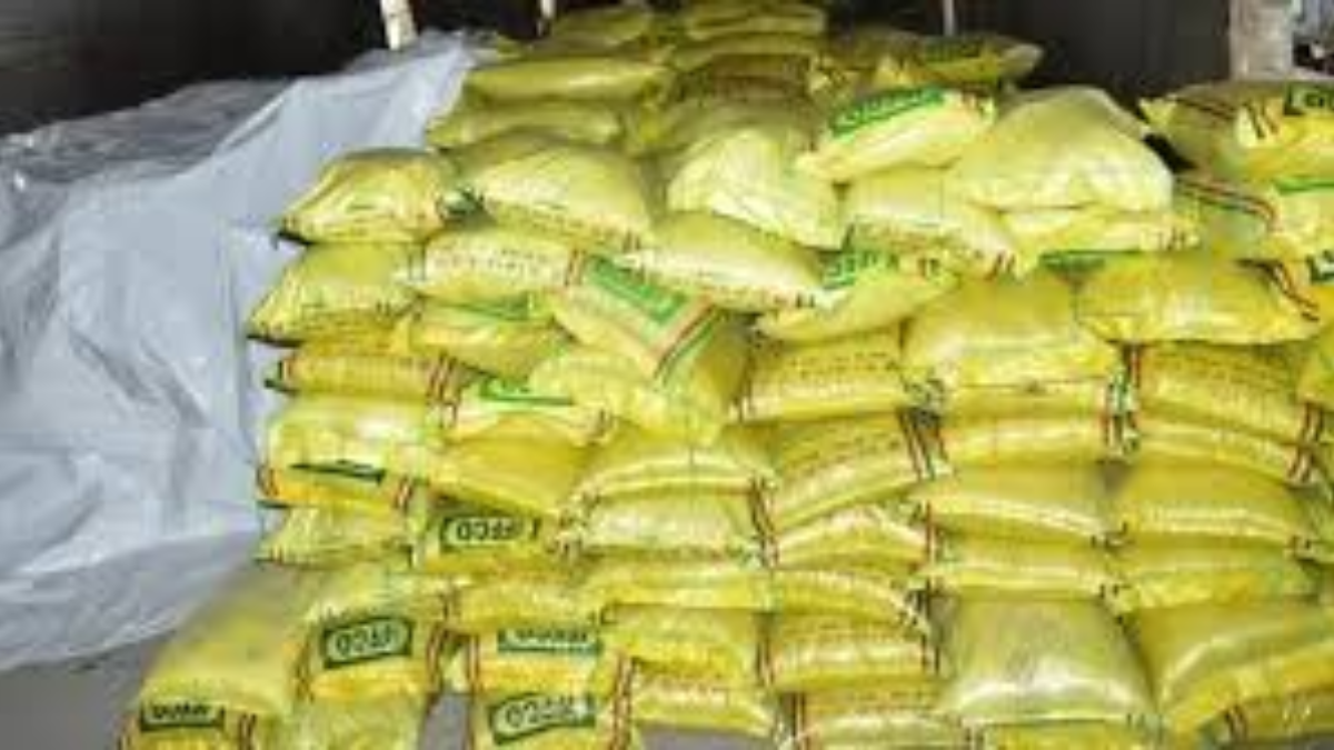 bihar farmers face fertilizer crisis black market drives up urea dap prices