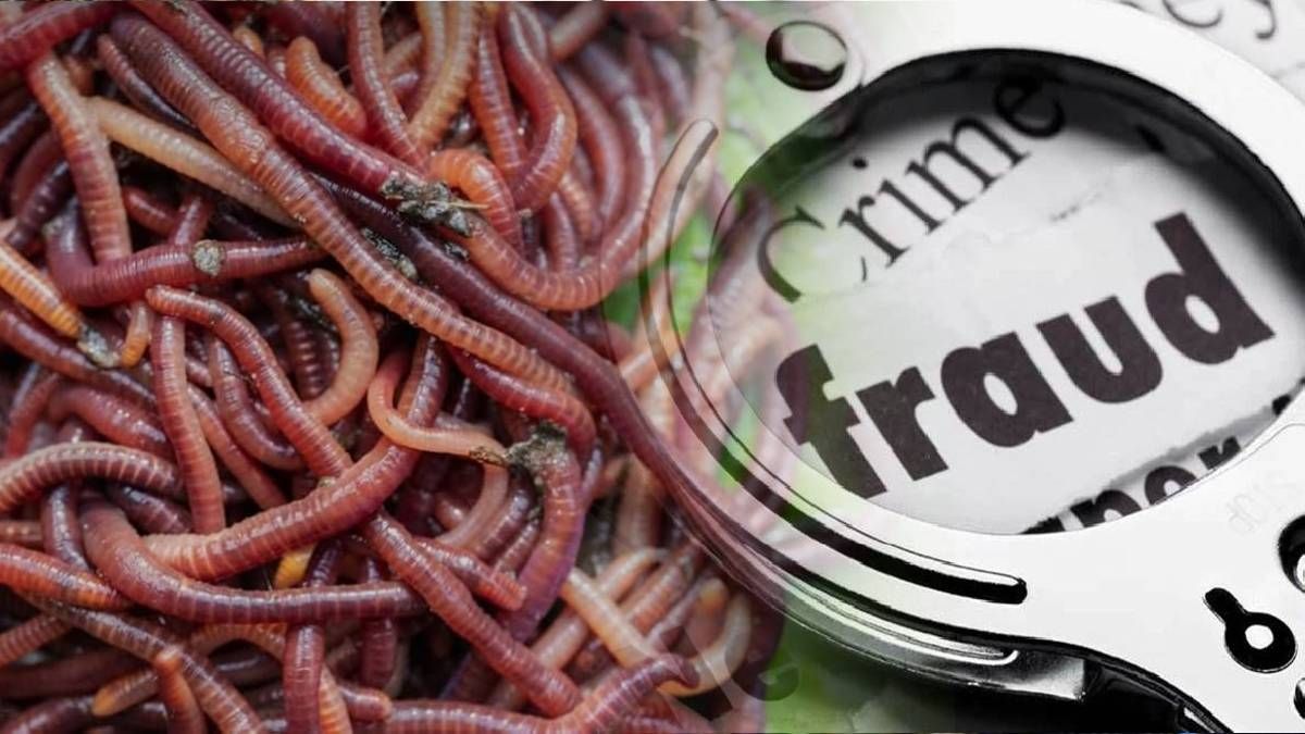 earthworm fertilizer scam accused of defrauding 6000 farmers of rs 42 crore siphoned off the entire amount in dubai