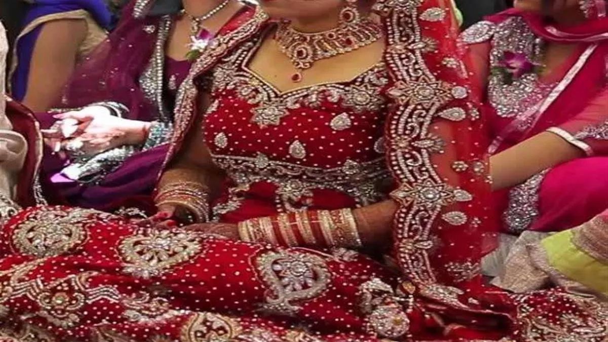 himachal bride scam looteri dulhan gang active in una kangra