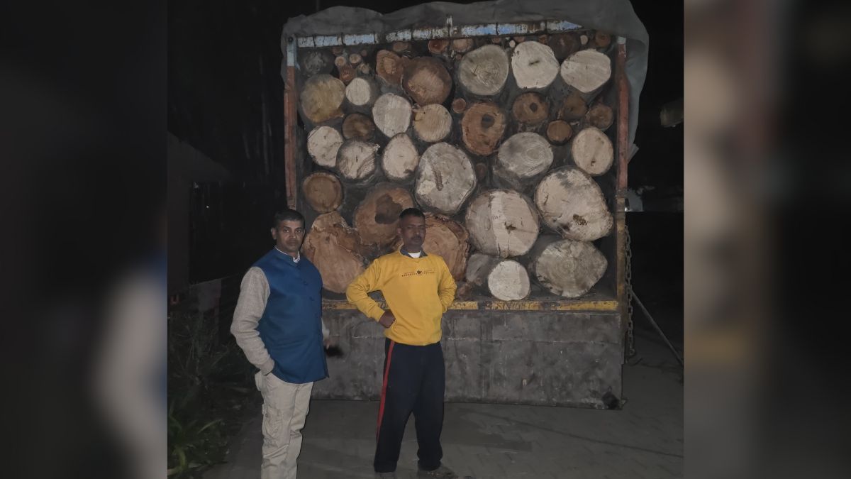 kangra forest department seizes truck carrying 110 tons of illegal timber