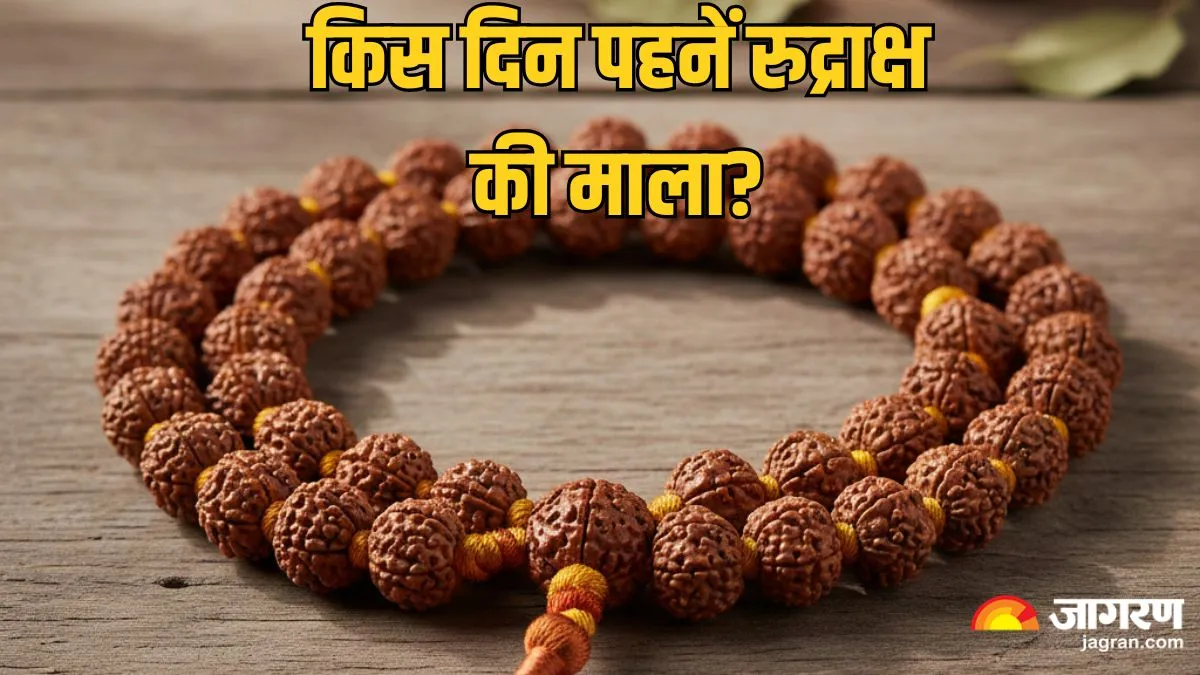 Rudraksha Mala: रुद्राक्ष माला पहनने से मिलते हैं ये अद्भुत लाभ, जानें इसके नियम