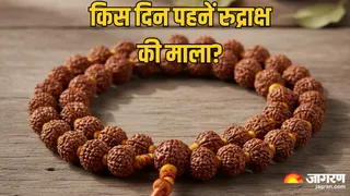Rudraksha Mala: रुद्राक्ष माला पहनने के नियम (Image Source: AI-Generated)