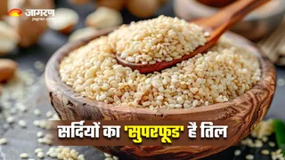 सेहत का सुपरहीरो है तिल, सर्दियों में जरूर बनाएं डाइट का हिस्सा (Image Source: Freepik)