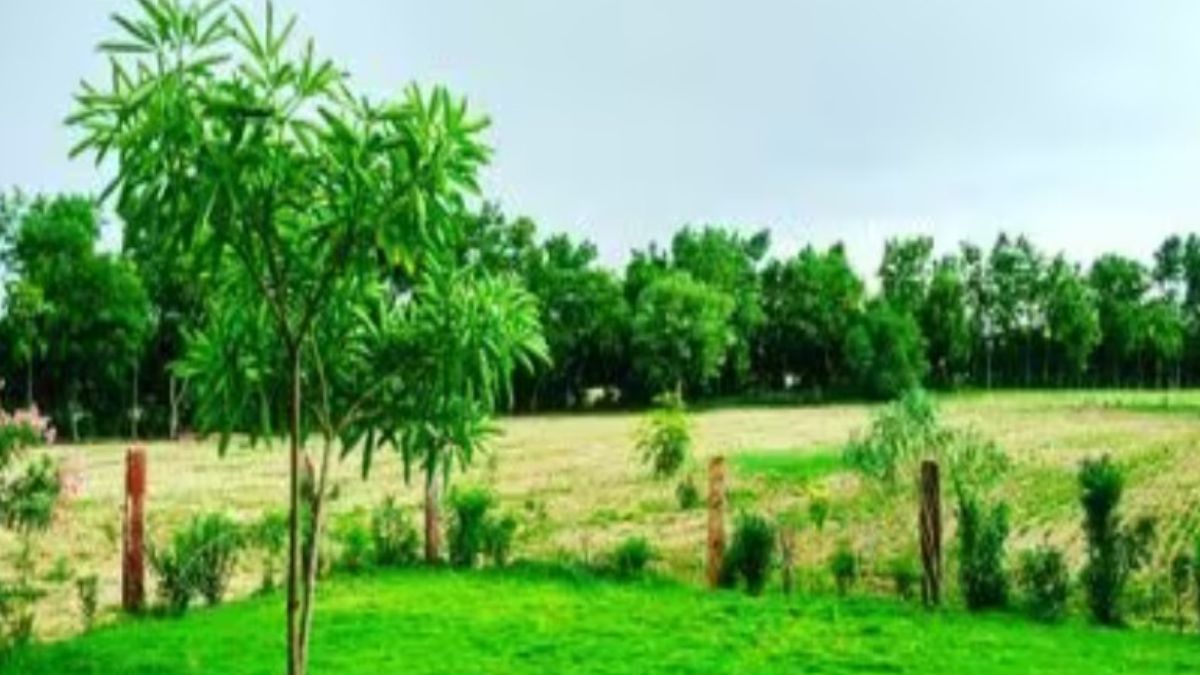 up government focusing on implementing environmentally inclusive policies