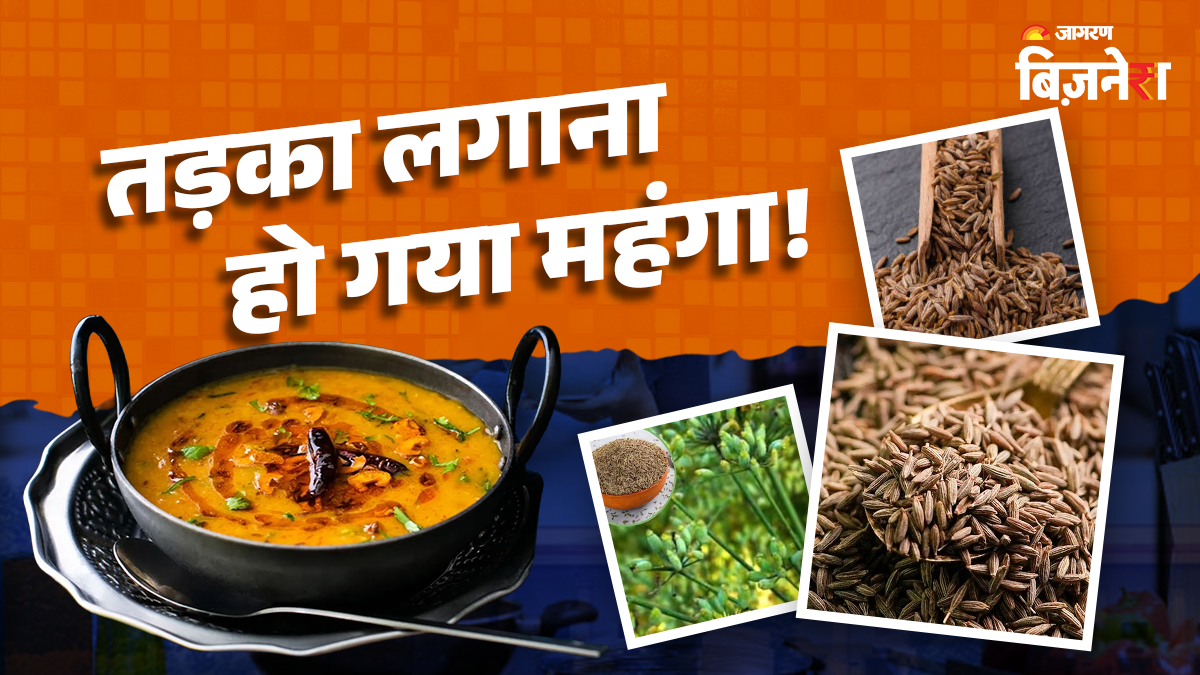 jeera price hike cumin prices soar impacting kitchen budgets