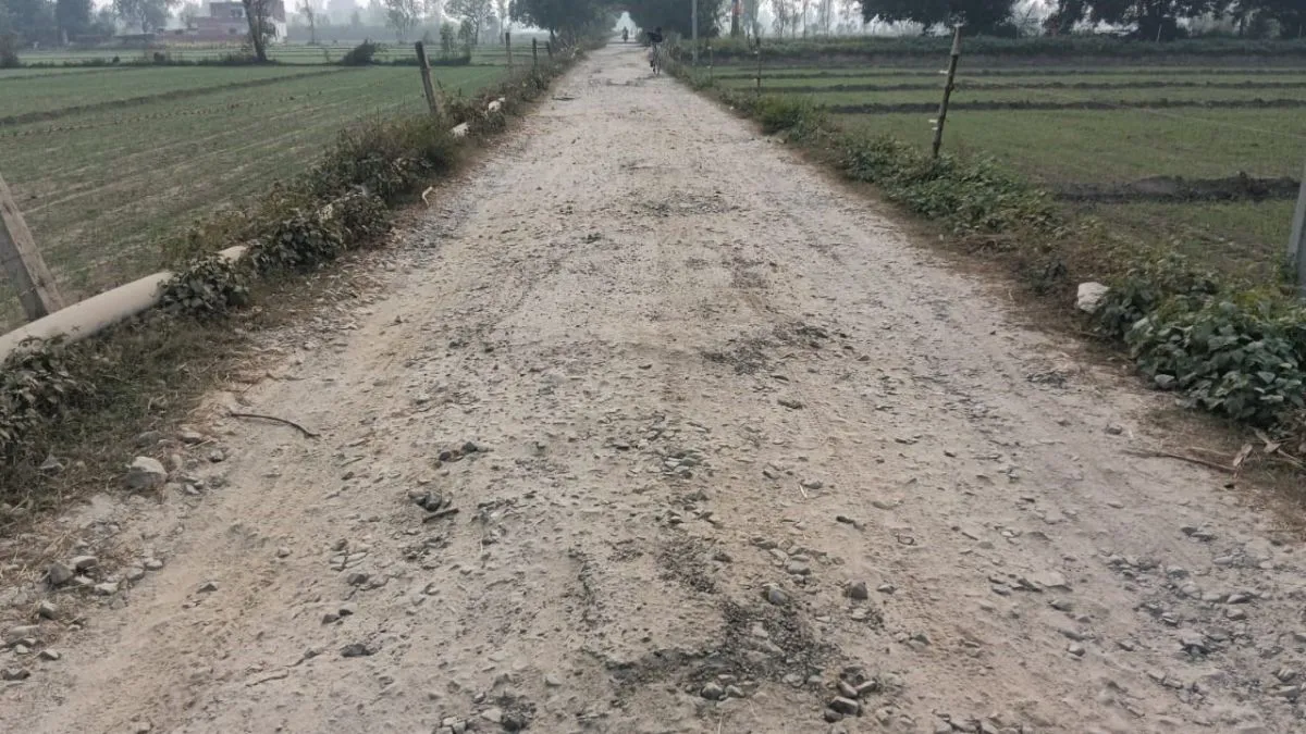 पीलीभीत-शाहजहांपुर सीमा पर बदहाल सड़क, 2.5 KM का सफर बन गया 'दर्द', ग्रामीण काट रहे 10 KM का अतिरिक्त फेर
