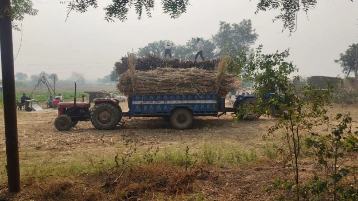 7 चीनी मिलों पर ₹37 करोड़ बकाया: बकायेदारी से खाली पड़े गन्ना केंद्र, किसान परेशान
